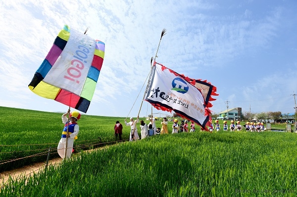 ▲ ‘제 16회 고창 청보리밭 축제’가 축제장가 고창전역에서 오는 12일 까지 진행 된다(사진제공=고창군)