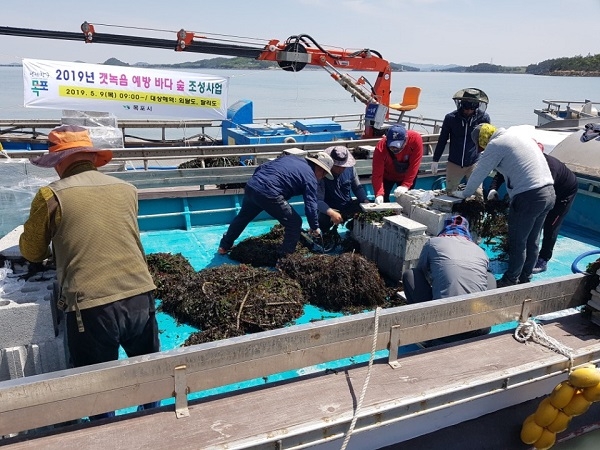 ▲전남 목포시는 제7회 바다식목일을 기념하여 지난 9일 관내 달리도와 외달도 해역에서 ‘갯녹음 예방 바다숲 조성사업 행사’를 개최했다.(사진제공=목포시)