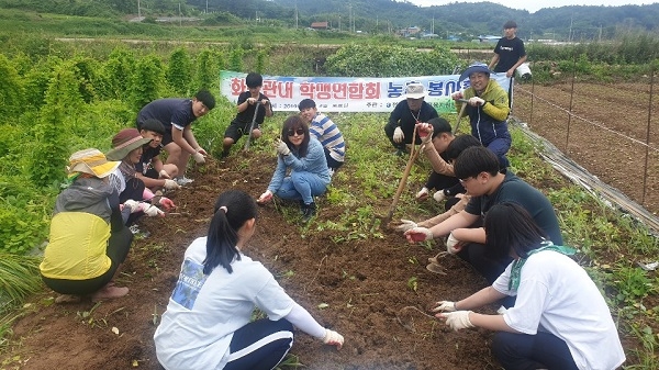 ▲화순교육지원청 학생연합회 학생들은 청풍면에 위치한 더덕농장에서 봉사활동을실시했다.(사진제공=화순교육지원청)