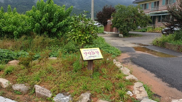 ▲성북동 칠전마을 입구 양심화단 모습(사진제공=나주시)