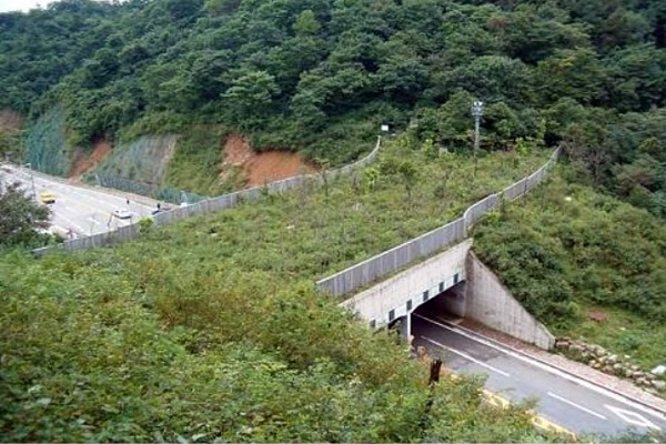▲국도23호선 관산우회도로 구간 솔치재 생태통로(사진제공=장흥군)