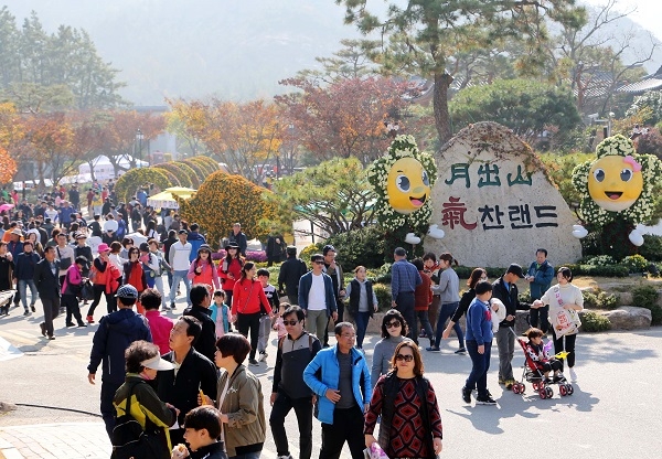 ▲영암군은 월출산 국화축제가 오는 26일부터 11월 10일까지 16일간 월출산 기찬랜드 일원에서 펼쳐진다.(사진제공=영암군)