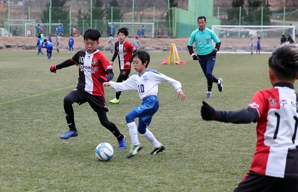 ▲초등축구 전지훈련 모습(사진제공=강진군)