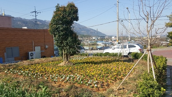 ▲영암읍은 관내 주요 도로변 및 가로화단 봄꽃 식재작업을 실시했다.(사진제공=영암군)