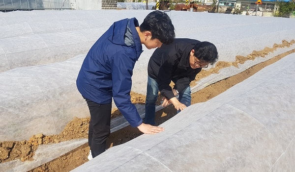 ▲관내 고추 부직포재배 포장 예찰 모습(사진제공=강진군)