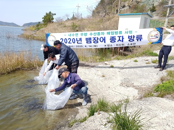 ▲진도군이 최근 우량 수산종자 방류사업 실시했다.(사진제공=진도군)