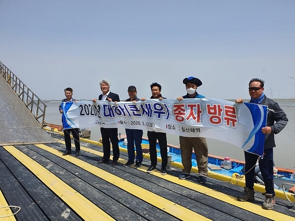 ▲영광군은 칠산해역에 대하종자를 방류했다.(사진제공=영광군)