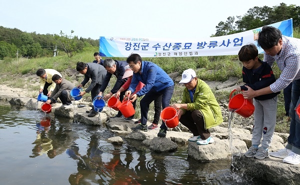 ▲강진군이 최근 군동면 석교리 일원에서 뱀장어 치어 1만9000여 마리를 방류했다.(사진제공=강진군)