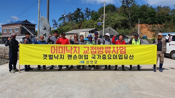 ▲신안군은 낙지자원 회복을 위한 어미 및 수컷낙지 1800마리를 지난 20일부터 방류하고 있다.(사진제공=신안군)