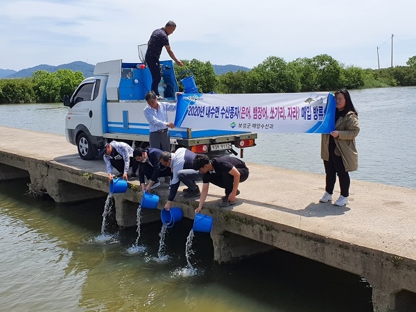 ▲보성군은 지난 27일 내수면 생태계 보전과 어업인 소득 증대를 위해 관내 하천에 토종어종인 은어 치어 6만5000 마리를 방류했다.(사진제공=보성군)