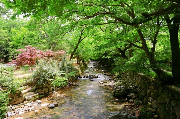 ▲두륜산 장춘계곡(사진제공=해남군)