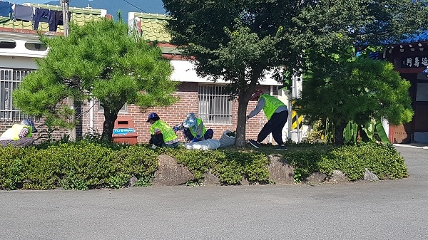 ▲보성군은 지난 18일부터 ‘코로나19 극복 보성 희망 일자리 사업’을 실시했다.(사진제공=보성군)