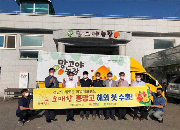 ▲‘영광산 애플망고’가 첫 수출길에 올랐다.(사진제공=영광군)