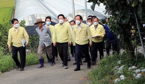▲김영록 전라남도지사가 3일 오전 제9호 태풍 ‘마이삭’이 북상 하면서 몰고온 강풍으로 배 낙과 피해를 입은 고흥군 남양면 망주리 과수원을 찾아 농가 안내로 낙과피해 현장을 둘러보고 있다.(사진제공=전라남도)
