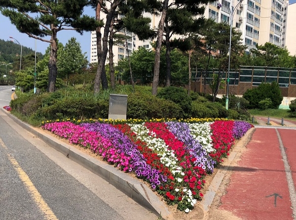▲가을꽃 식재(사진제공=목포시)