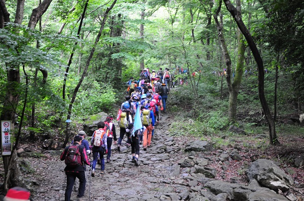 ▲진도군 첨찰산 난대숲길이 ‘걷고 싶은 전남 숲길’ 최우수상을 수상했다.(사진제공=진도군)