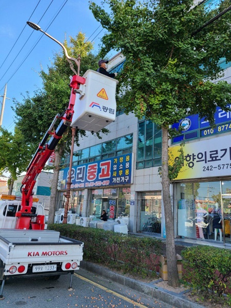 ▲목포시 가을철 불청객 은행나무 열매 조기 채취(사진제공=목포시)