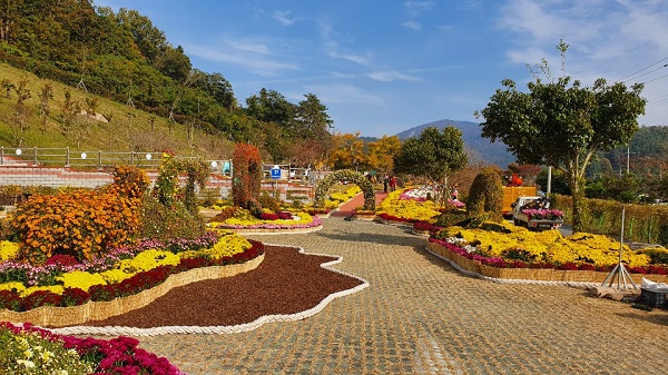 ▲진도개테마파크(사진제공=진도군)