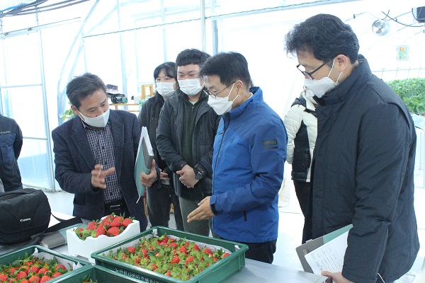 ▲강진군 이승옥 군수가 딸기 수확농가와 만나고 있다.(사진제공=강진군)