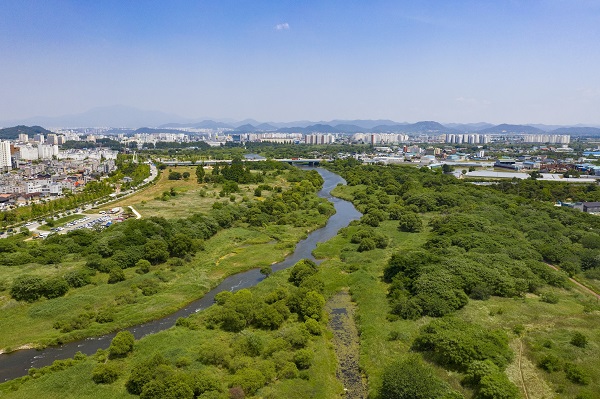 ▲장록습지(사진제공=광산구)