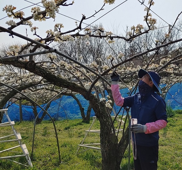 ▲영암군은 오는 22일까지 2021년 신규농업인 현장실습교육의 연수생 및 선도농가를 모집한다.(사진제공=영암군)