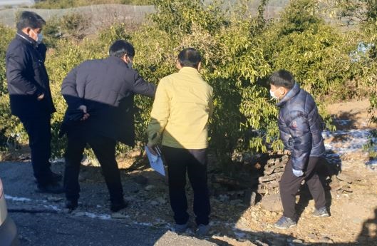 ▲고흥군은 겨울철 농작물 동해 예방관리를 위한 기술지도에 적극적으로 나서고 있다.(사진제공=고흥군)