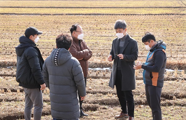 ▲농업기술센터 직원이 올해 파종된 쌀귀리를 살펴보며 재배 기술을 지도하고 있다.(사진제공=강진군)