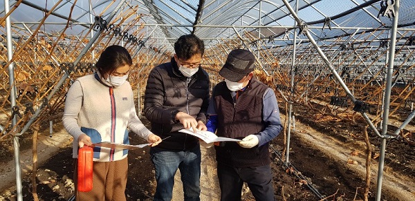 ▲강진군농업기술센터에서 샤인머스캣 포도 농장을 방문해 재배 매뉴얼을 설명하고 있다.(사진제공=강진군)