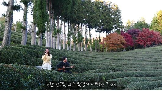 ▲유튜브 크리에이터 부문 대상 박대현 '보성에가자'(사진제공=보성군)