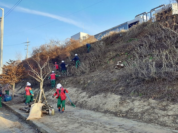 ▲장흥군은 입춘을 맞아 쾌적한 녹화 경관 개선에 본격적으로 착수한다.(사진제공=장흥군)