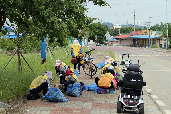 ▲영암군은 2일부터 노인일자리 사업을 전면 추진한다.(사진제공=영암군)
