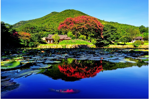 ▲진도 운림산방(사진제공=진도군)