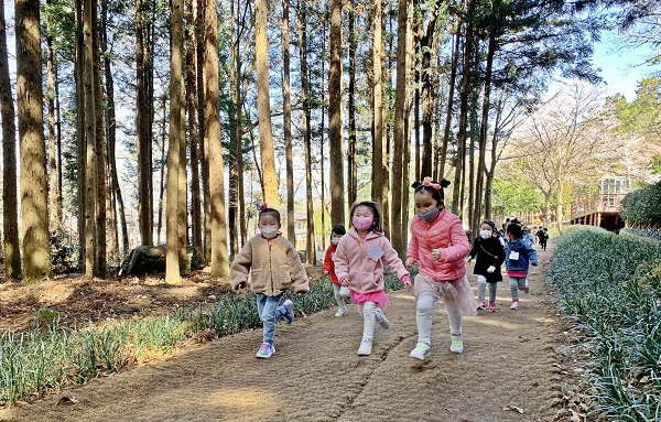 ▲장흥군은 지난 22일 정남진 편백숲 우드랜드에서 올해 첫 유아숲 교육 프로그램을 운영했다.(사진제공=장흥군)