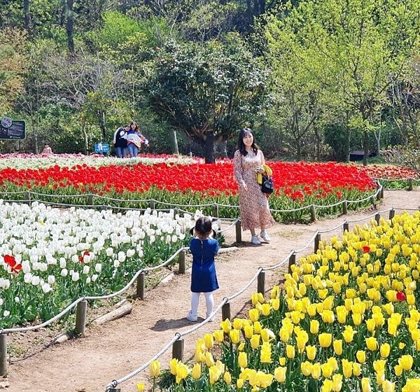▲하늘빛수목원(사진제공=장흥군)