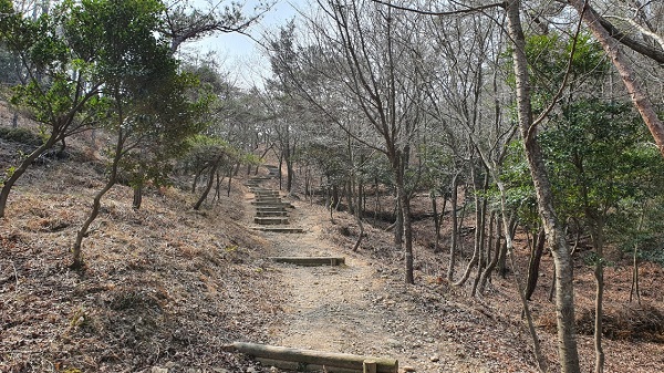 ▲연징산 등산로(사진제공=무안군)