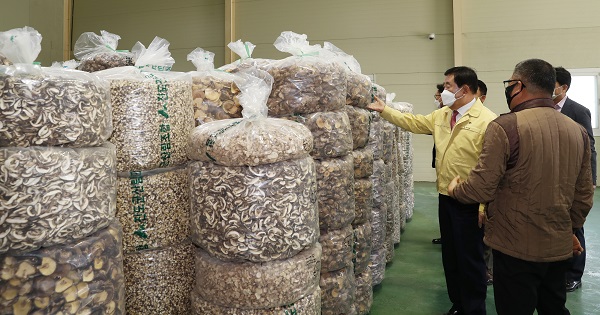 ▲진도군에서 생산된 표고버섯이 지난 5일 첫 경매를 실시했다.(사진제공=진도군)