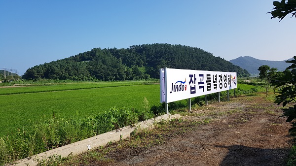 ▲진도군이 식량작물(들녘)공동경영체 육성 지원 사업을 적극 추진하고 있다.(사진제공=진도군)