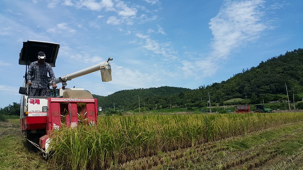 ▲진도군이 기본형 공익직불제를 오는 5월 31일까지 읍·면사무소에서 신청 받는다.(사진제공=진도군)