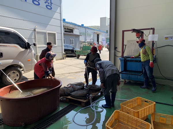 ▲진도군농업기술센터가 키다리병, 도열병, 벼잎선충, 세균성벼알마름병 등을 방제하기 위해 오는 6월 중순까지 온탕소독기를 운영한다.(사진제공=진도군)