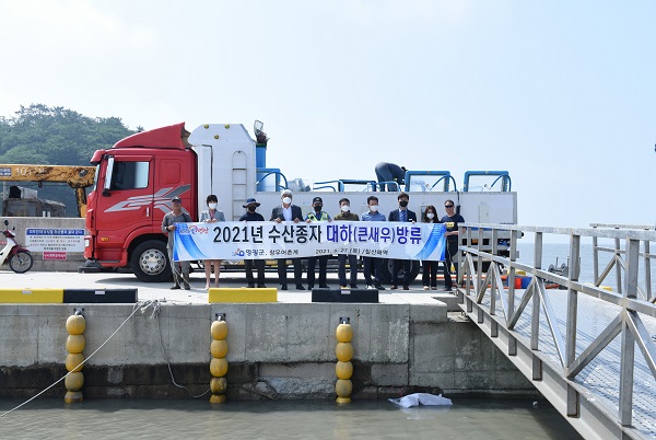 ▲영광군은 지난 27일 영광 칠산해역에 어린 대하 773만 미를 방류했다.(사진제공=영광군)