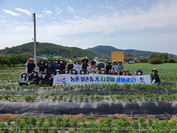 ▲진도군이 본격적인 영농철을 맞아 농촌 일손 돕기를 대대적으로 추진한다.(사진제공=진도군)