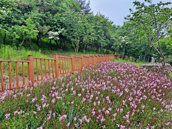 ▲삼학도(사진제공=목포시)
