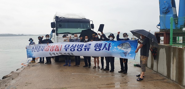▲무안군은 감성돔 22만 미를 현경면 홀통항과 청계면 구로항에 방류했다.(사진제공=무안군)
