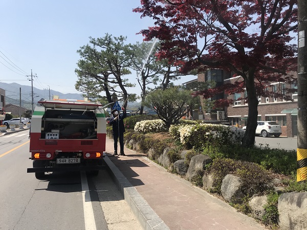 ▲담양군은 돌발해충인 미국흰불나방 등 확산방지 병해충 방제를 실시한다.(사진제공=담양군)