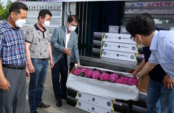 ▲이승옥 강진군수와 그린화훼 회원들이 싱가포르로 수출할 수국을 상차하고 있다.(사진제공=강진군)