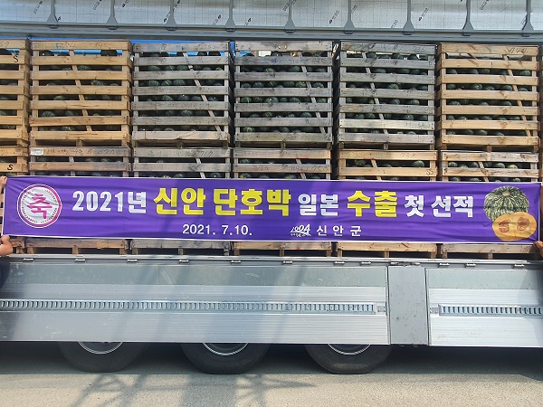 ▲신안 단호박 일본 수출(사진제공=신안군)