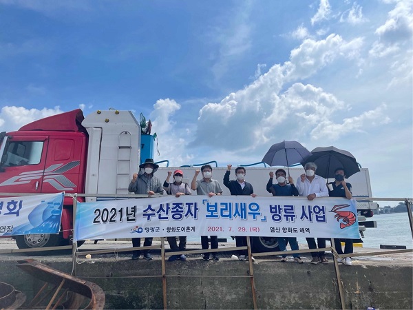 ▲지난 29일 염산면 향화도 해역에 어린 보리새우 350만 마리를 방류했다.(사진제공=영광군)