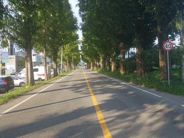 ▲장흥군은 국도23호선(장흥~유치)의 접속 구간인 장흥대교~군민회관 구간 2차로를 4차로로 확장한다.(사진제공=장흥군)