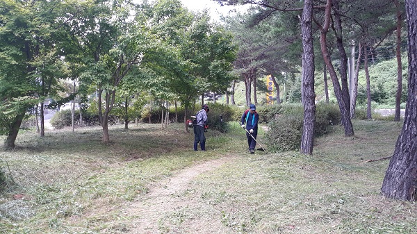 ▲장흥군은 3일 장흥댐 주변 환경정비 사업을 실시한다.(사진제공=장흥군)