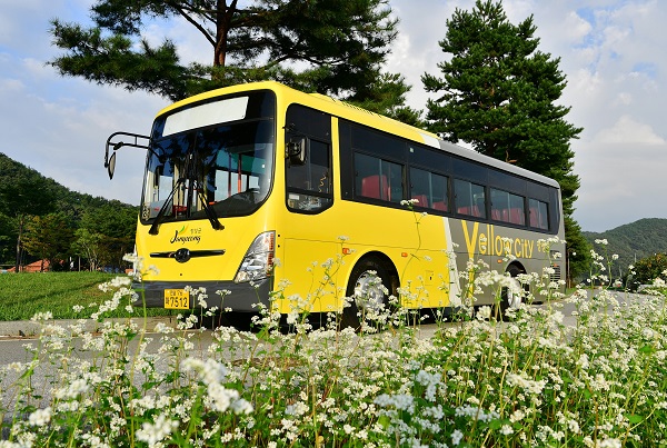 ▲장성군은 빠르면 내년부터 농촌버스 운임을 '1000원 단일요금제'로 개선할 방침이다.(사진제공=장성군)